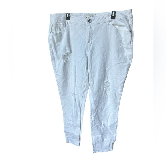 Cato Established 1946 Women’s Distressed Plus Size Jeans - Picture 2 of 6